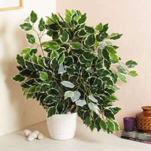 Artificial Ficus Tree Leaf's Branches for Wedding House Party Decorations